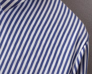 Pinstriped Dove-Tail Shirt